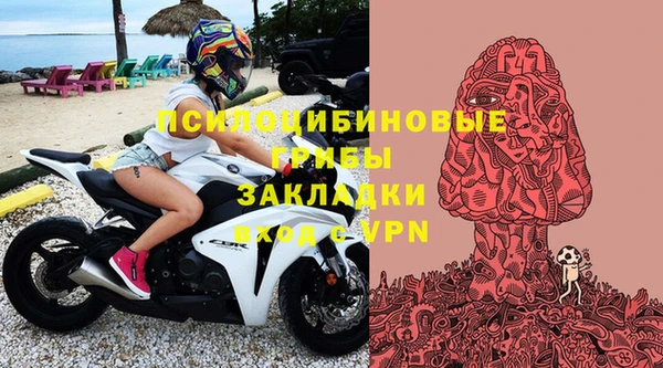 спиды Семилуки