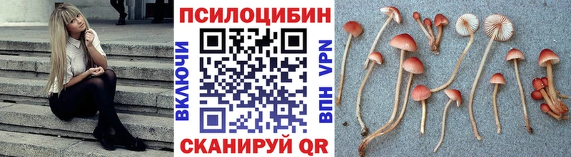 Галлюциногенные грибы прущие грибы  купить наркоту  kraken сайт  Звенигород 