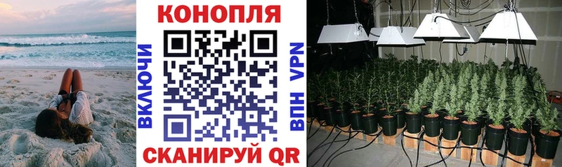 МАРИХУАНА THC 21%  hydra ССЫЛКА  Звенигород  даркнет сайт 