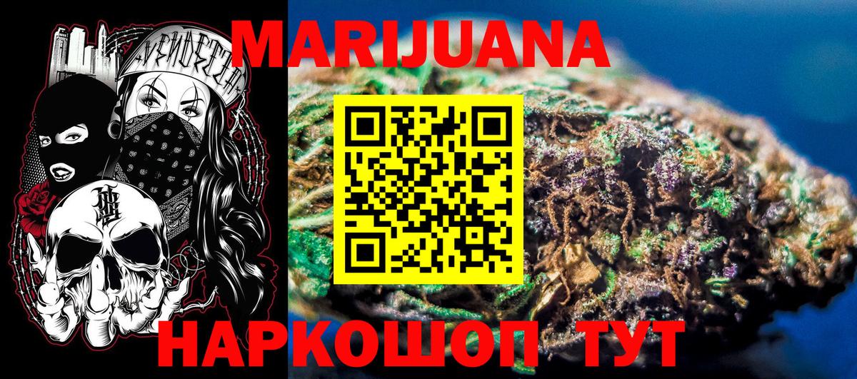 Конопля сатива Звенигород